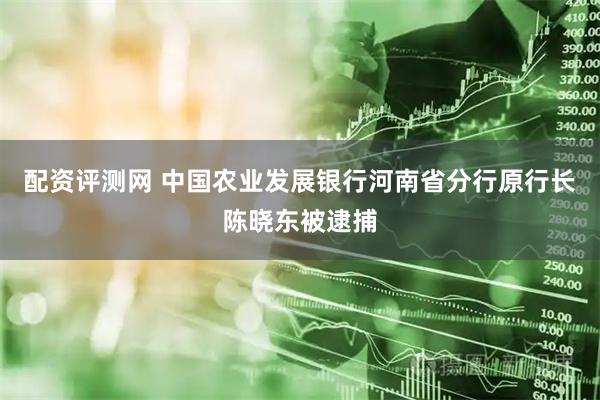配资评测网 中国农业发展银行河南省分行原行长陈晓东被逮捕